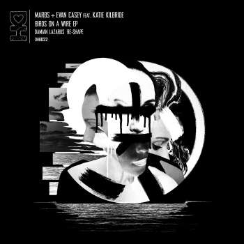Dj筱布-精选全英文经典迷幻节奏高端摇头必备FunkyHouse靓碟
